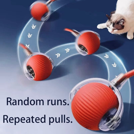 Interactive Cat Teaser Ball