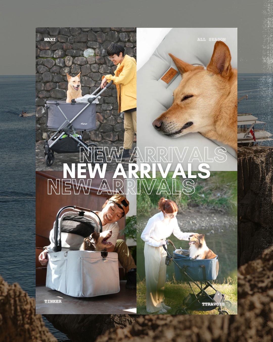 New Arrivals