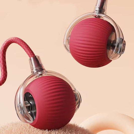 Interactive Cat Teaser Ball